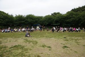 DSC00753