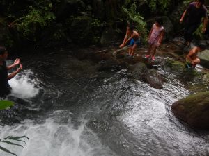 DSCN3798