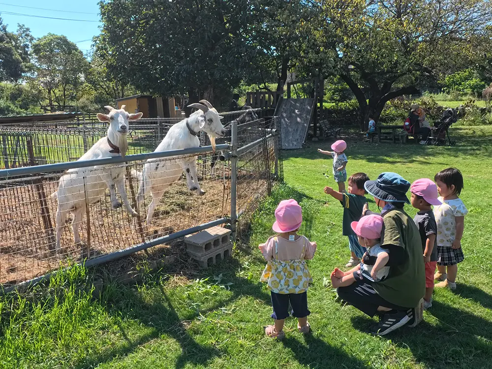 牧場で動物のお世話をする子どもたちの様子