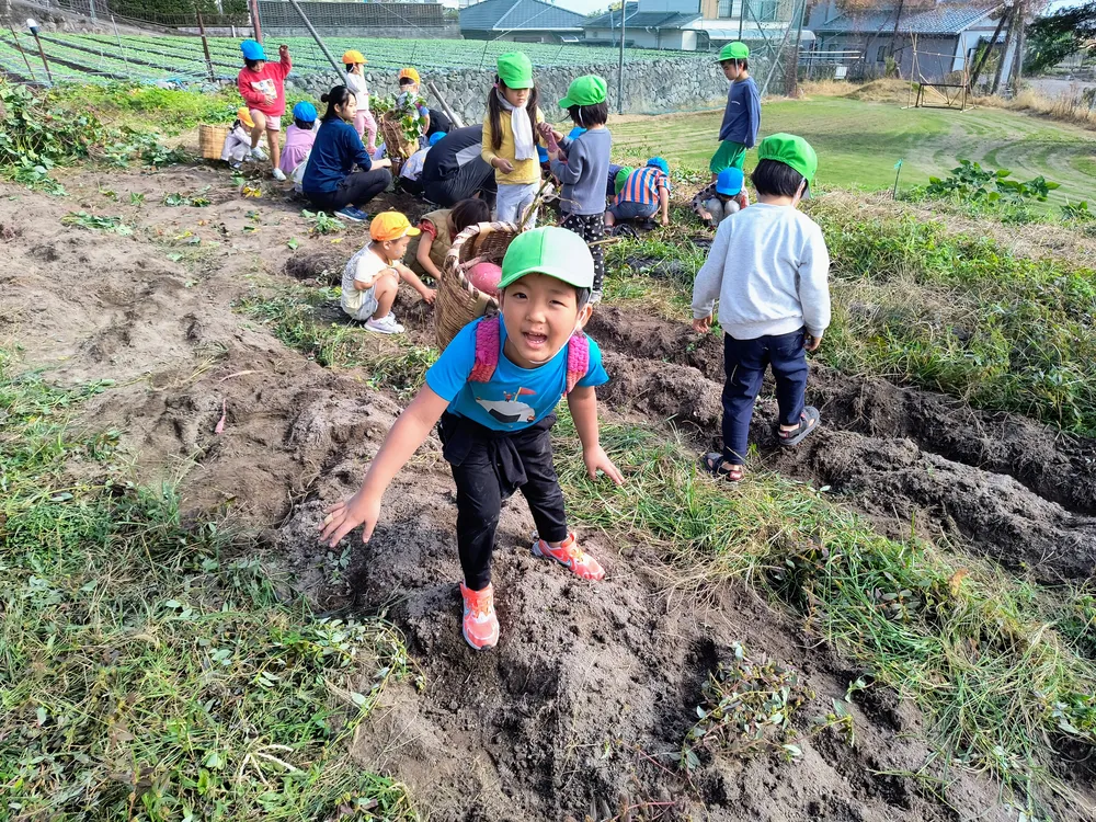 畑で野菜を育て収穫する子どもたちの様子