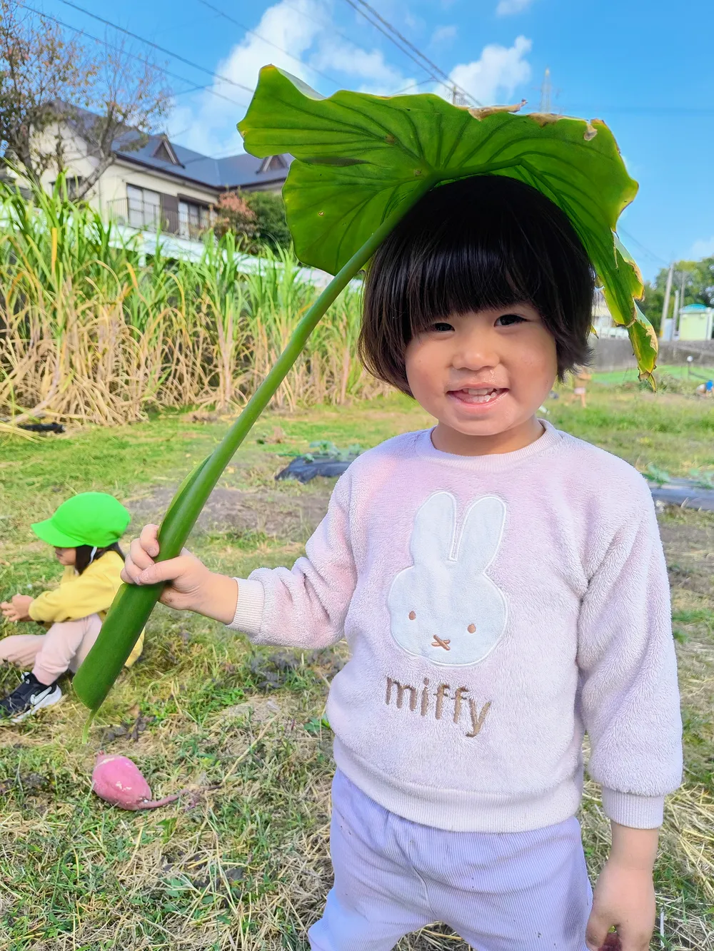子どもたちの様子