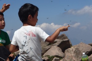 OLYMPUS DIGITAL CAMERA