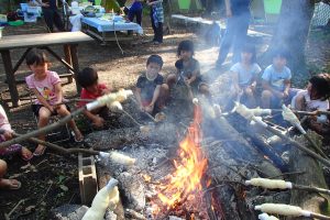 OLYMPUS DIGITAL CAMERA